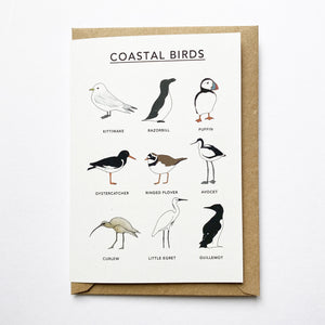 Coastal Birds Illustrated Card