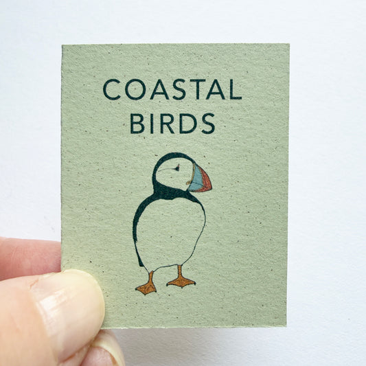 Tiny Book of Coastal Birds - katebroughton