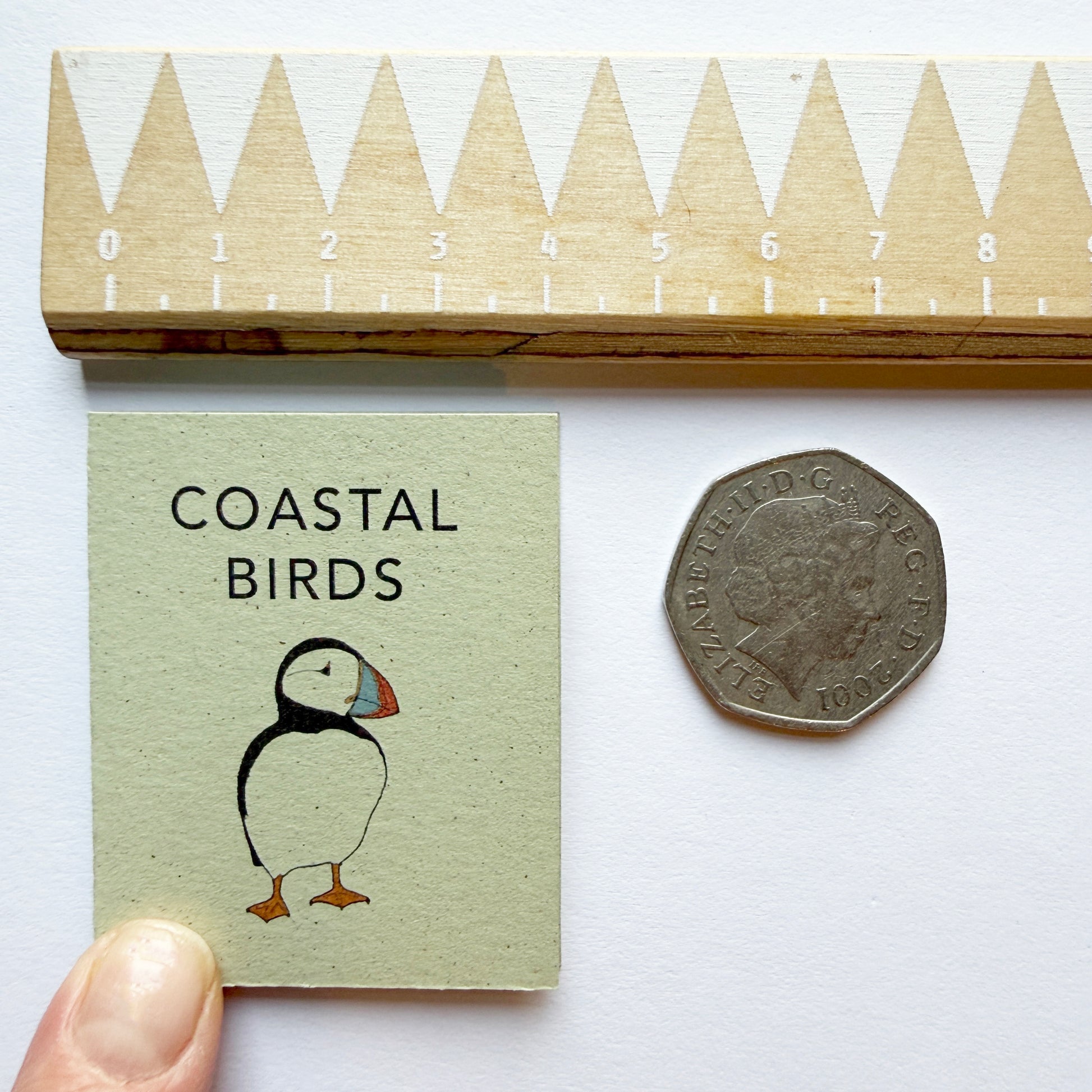 Tiny Book of Coastal Birds - katebroughton