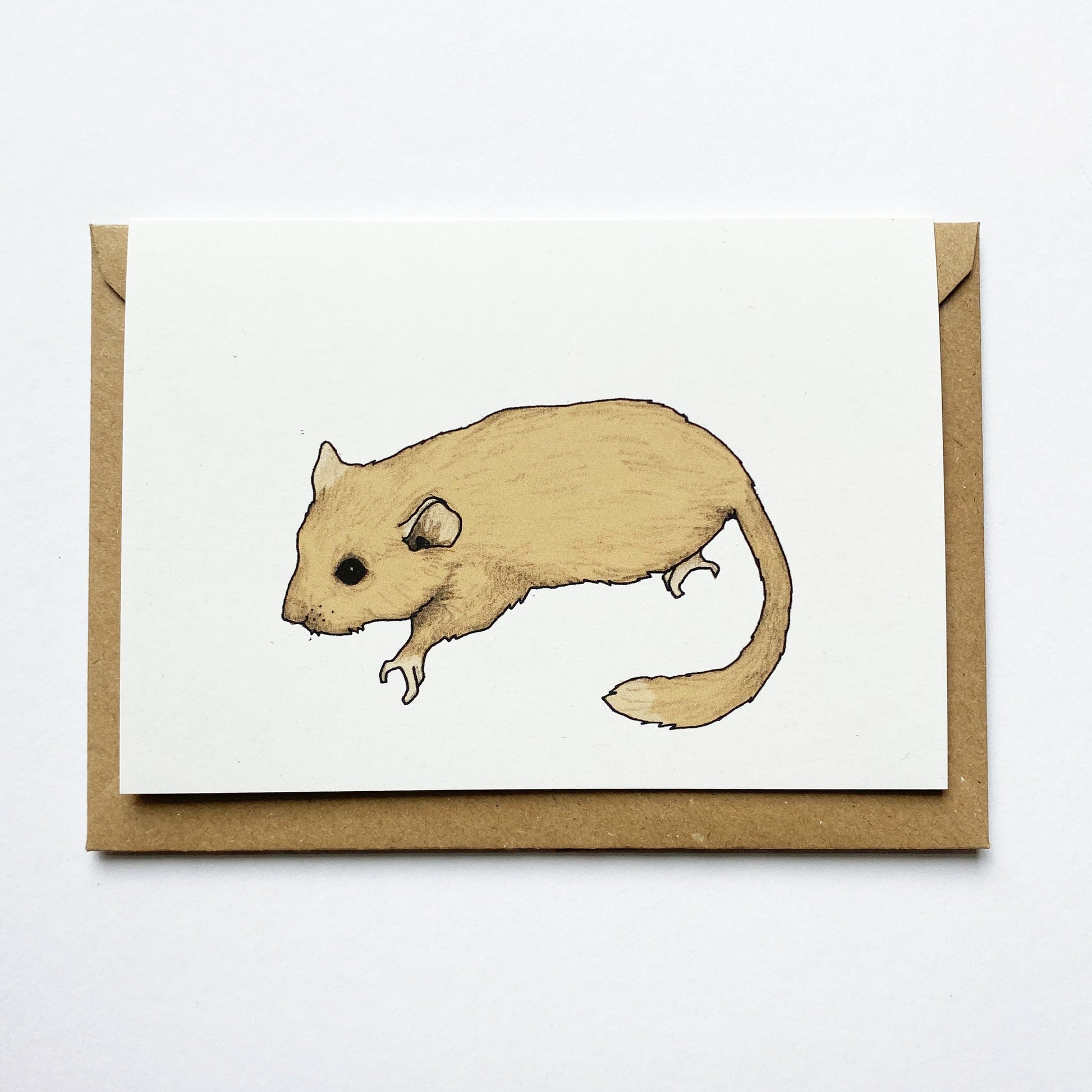 Dormouse Illustrated Card - katebroughton
