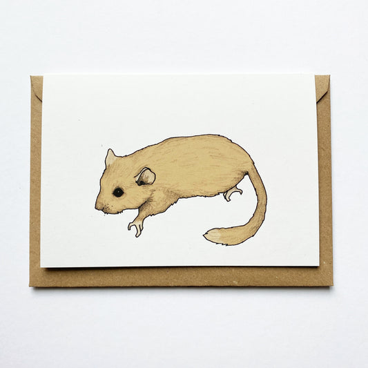 Dormouse Illustrated Card - katebroughton