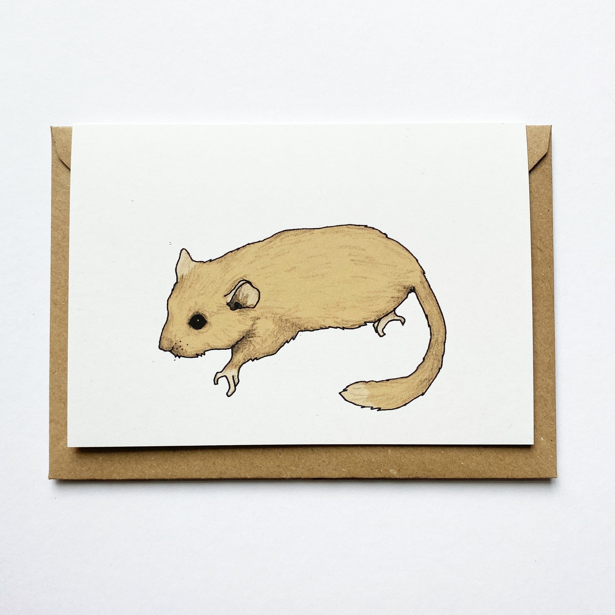 Dormouse Illustrated Card