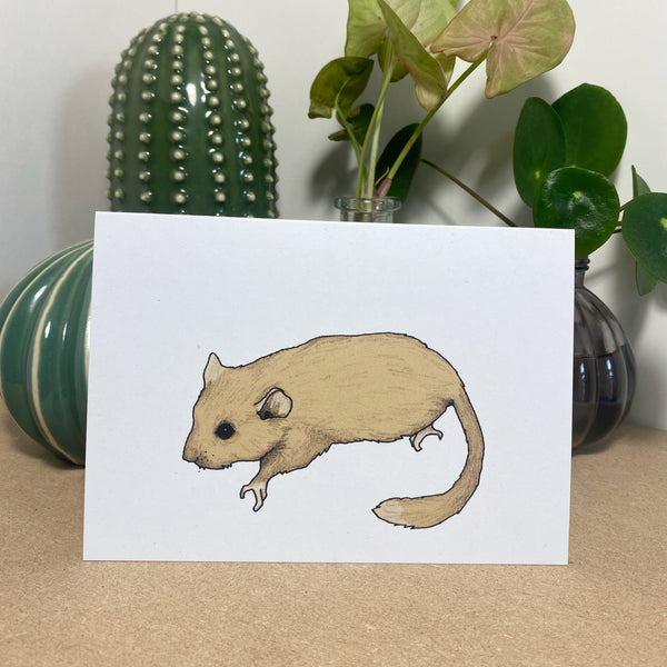 Dormouse Illustrated Card