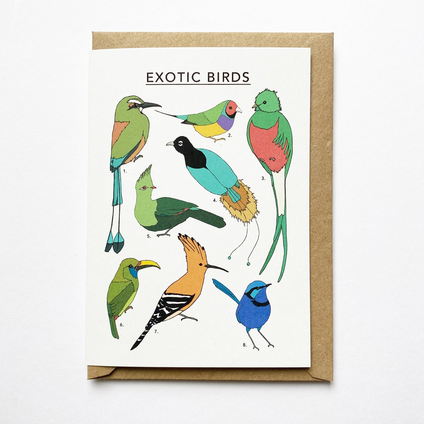 Exotic Birds Illustrated Card - katebroughton