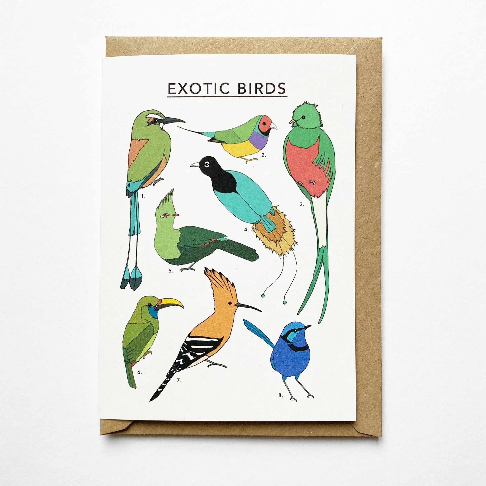 Exotic Birds Illustrated Card