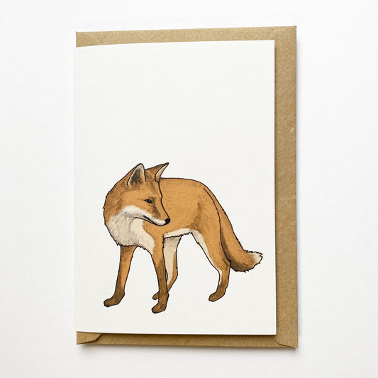Fox Illustrated Card