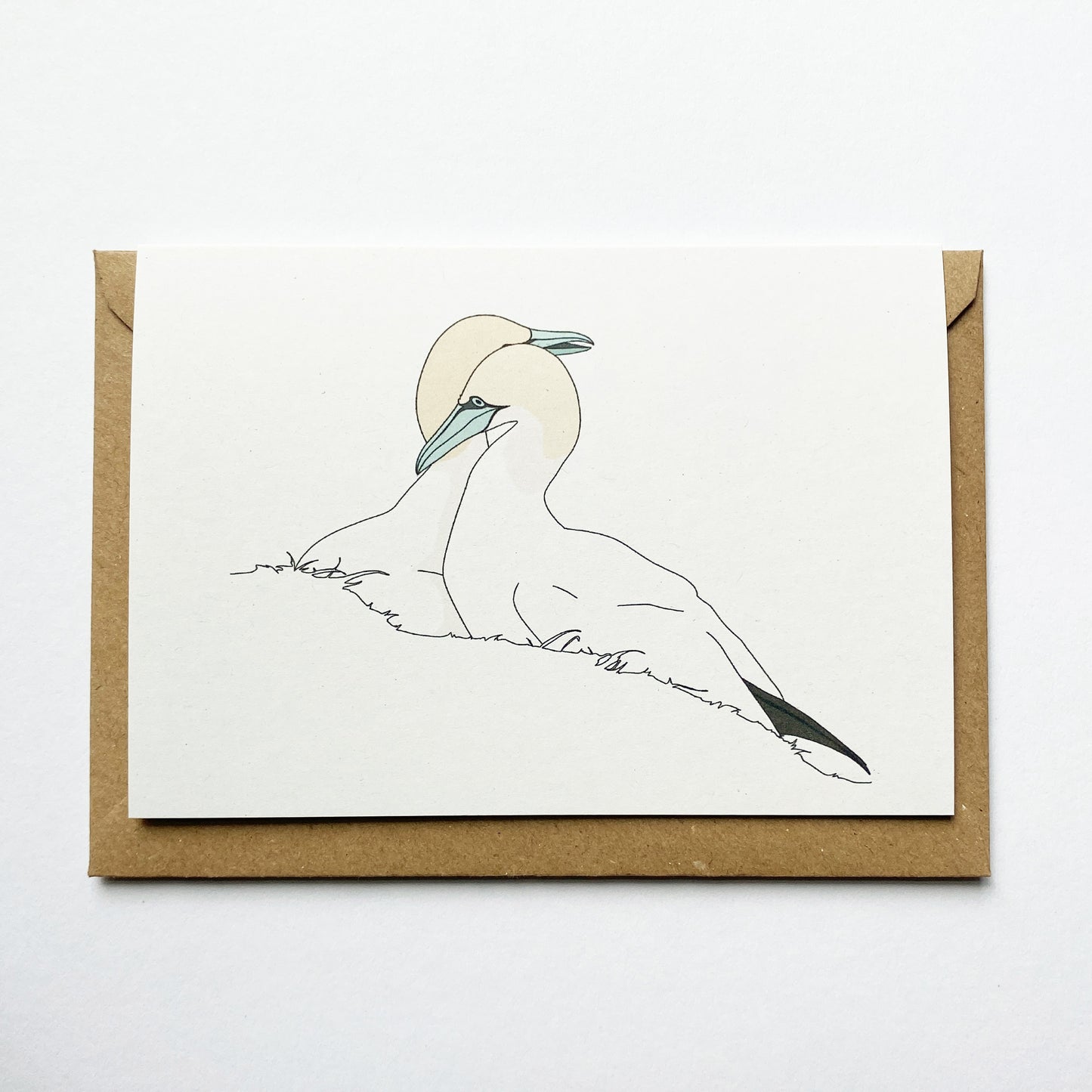 Two Gannets Card - katebroughton