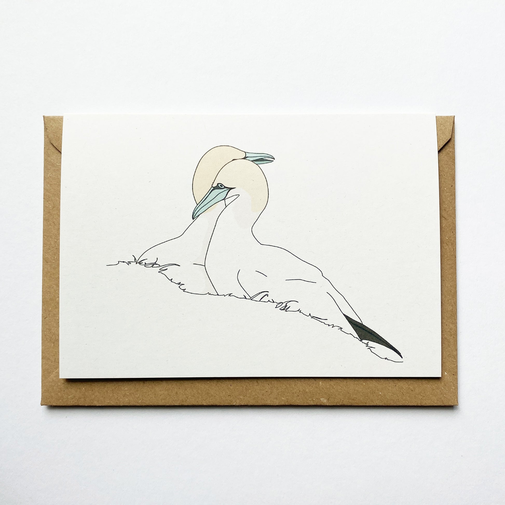 Two Gannets Card - katebroughton