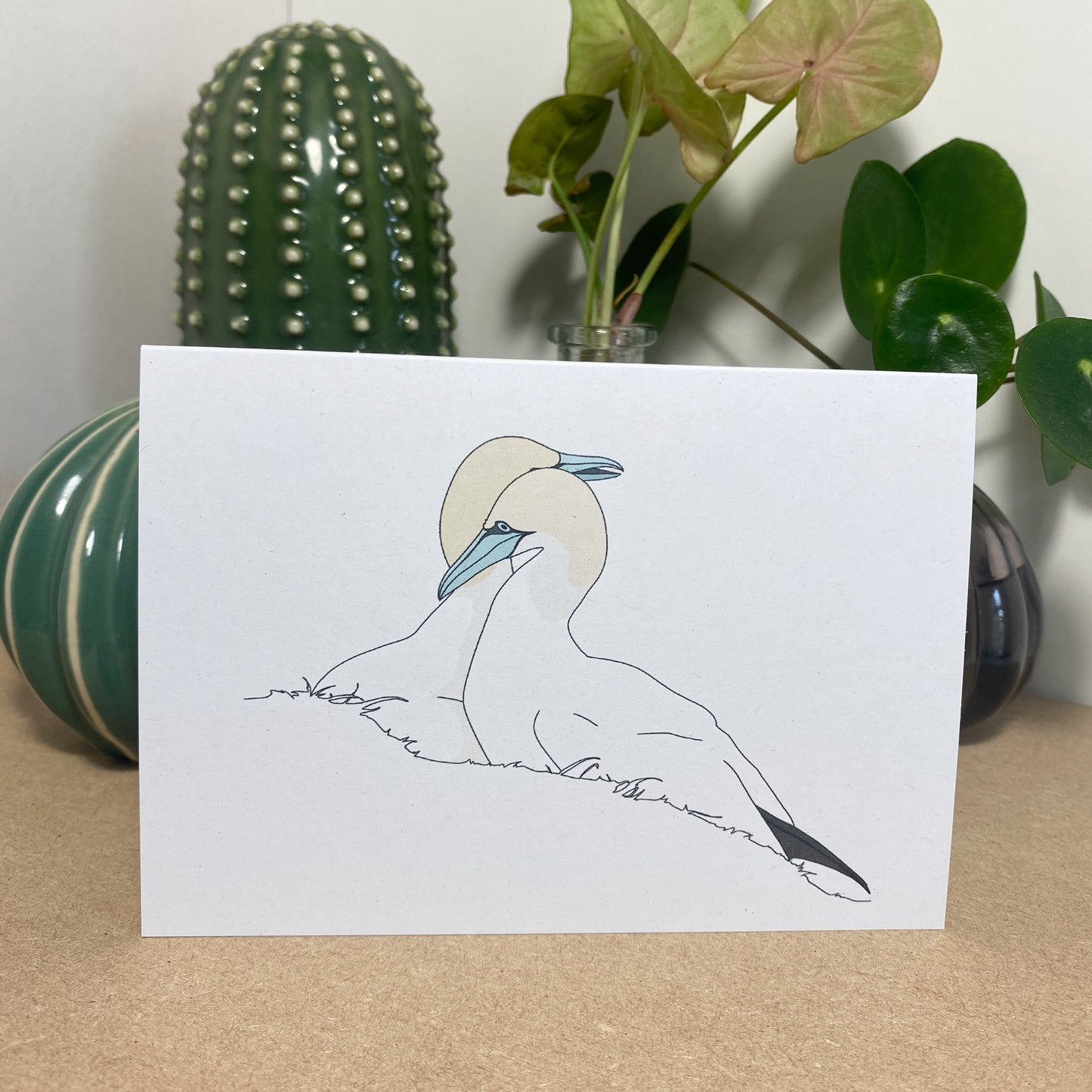 Two Gannets Card - katebroughton