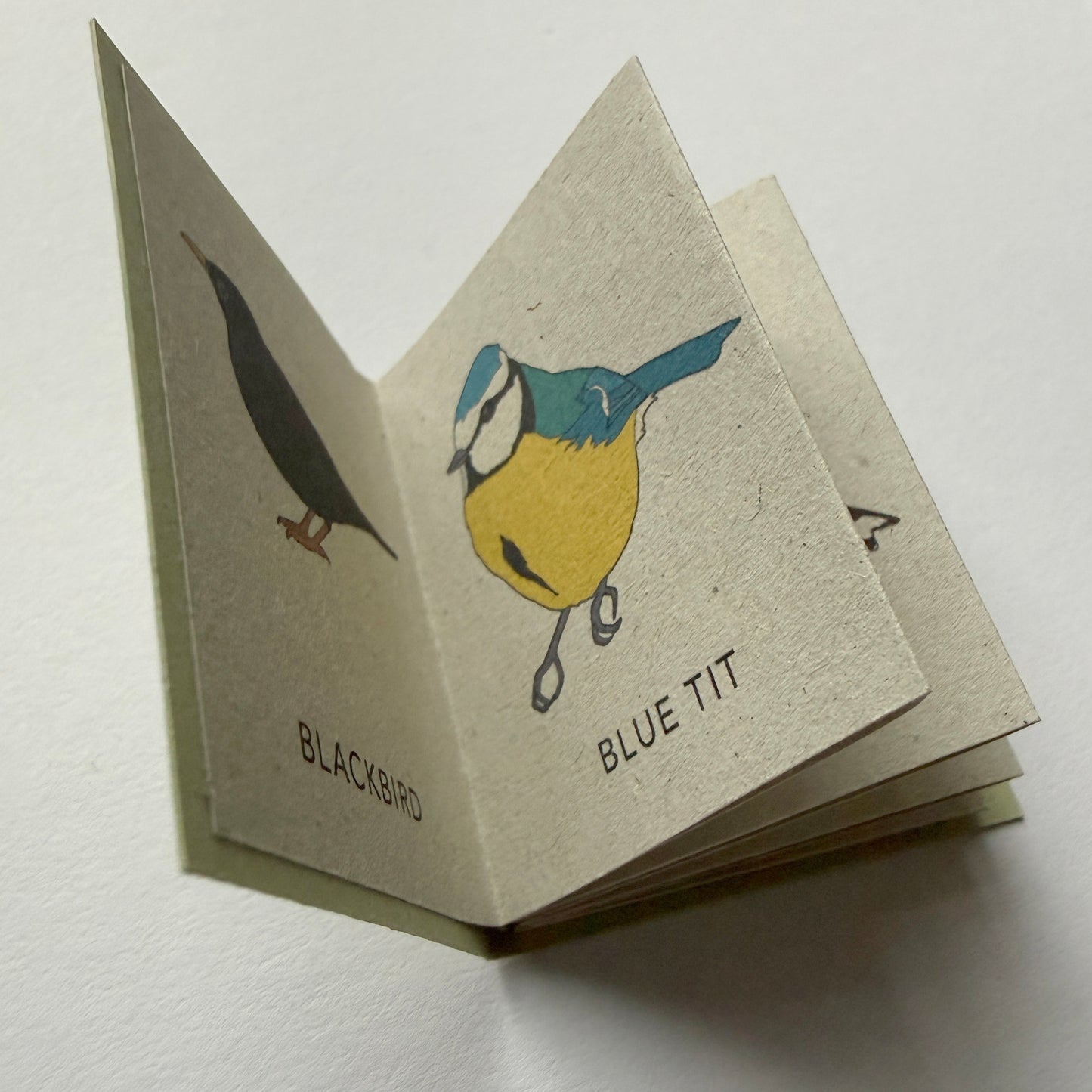 very smmall book with illustrations of a blackbird and blue tit on recycled eco friendly pages.