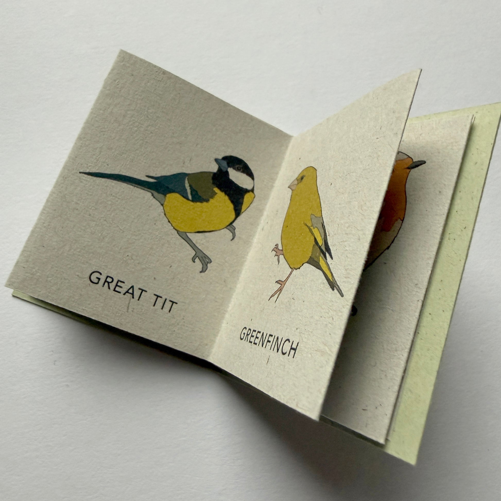 Small open book with illustrations of birds labeled 'Great Tit' and 'Greenfinch' on a light gray background.