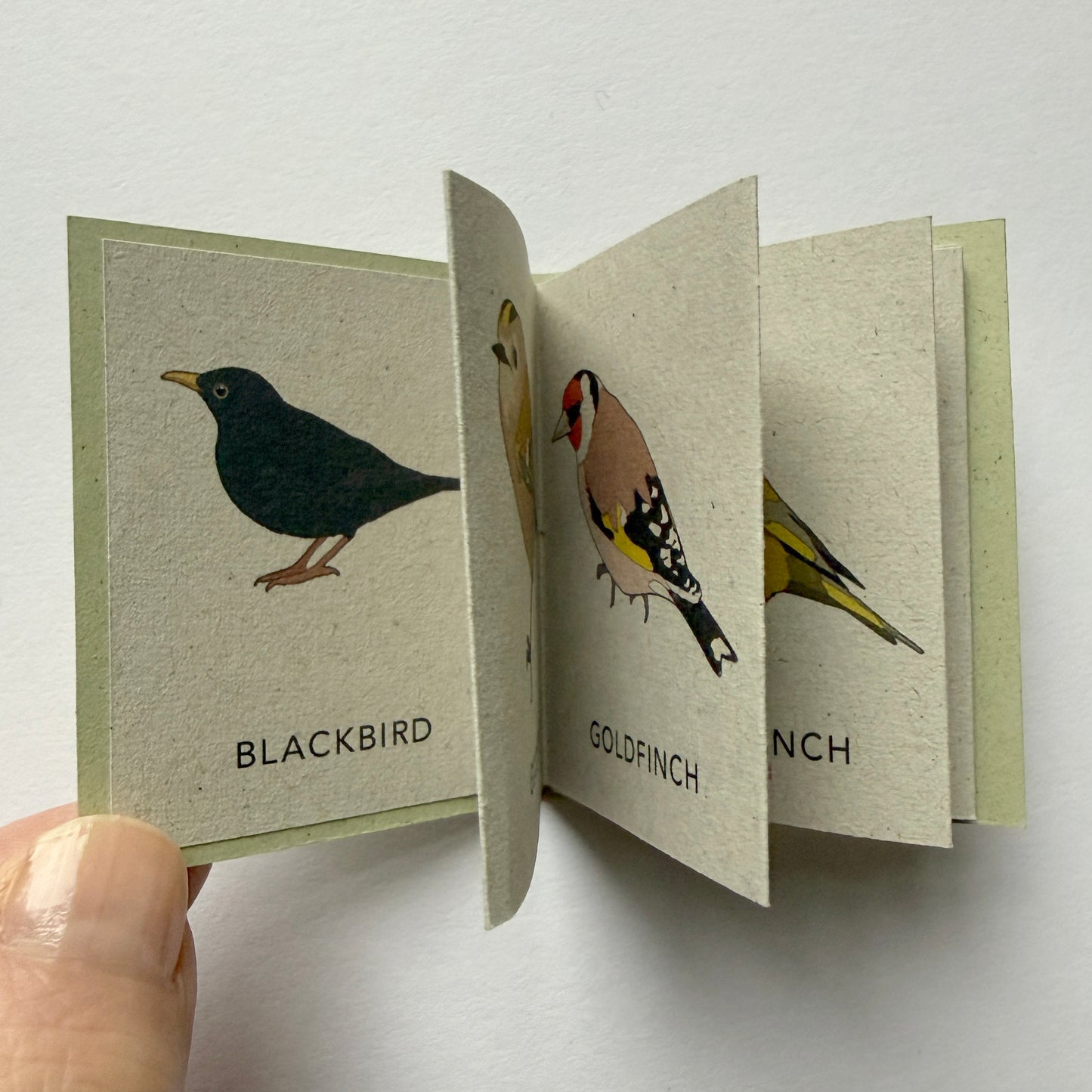 Mini book with illustrations of a blackbird and goldfinch on grey pages.