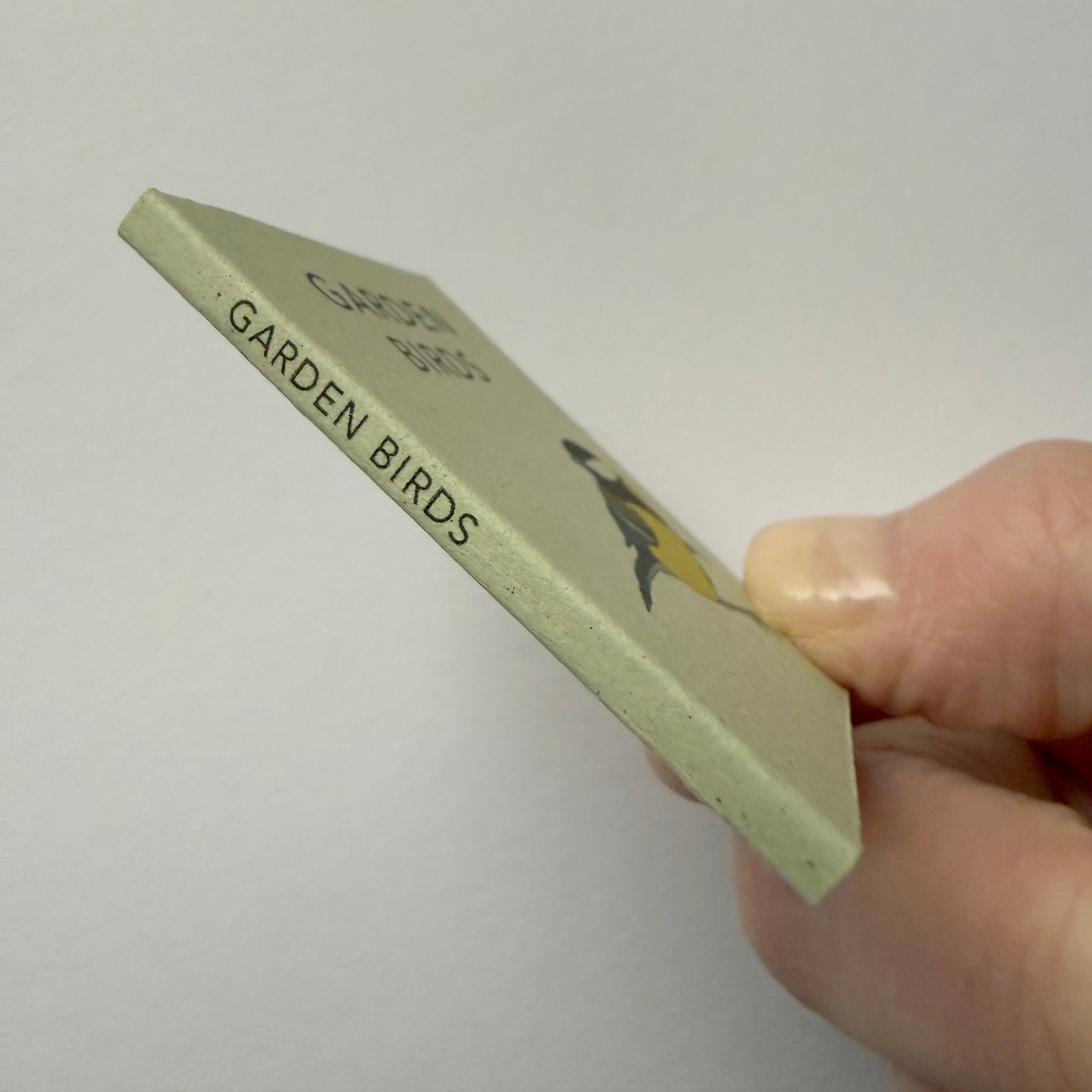 Hand holding a miniature book showing the spine titled 'Garden Birds' 