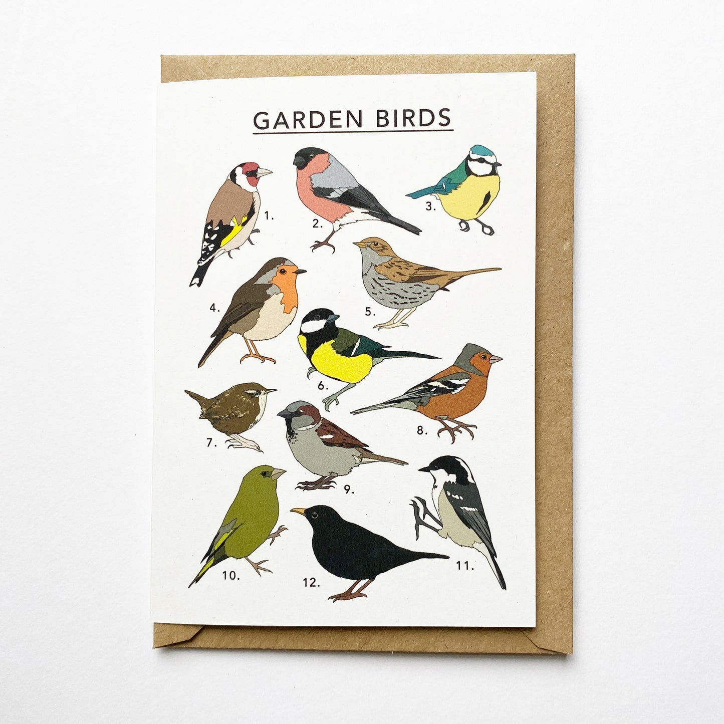 Garden Birds Illustrated collection Card - katebroughton