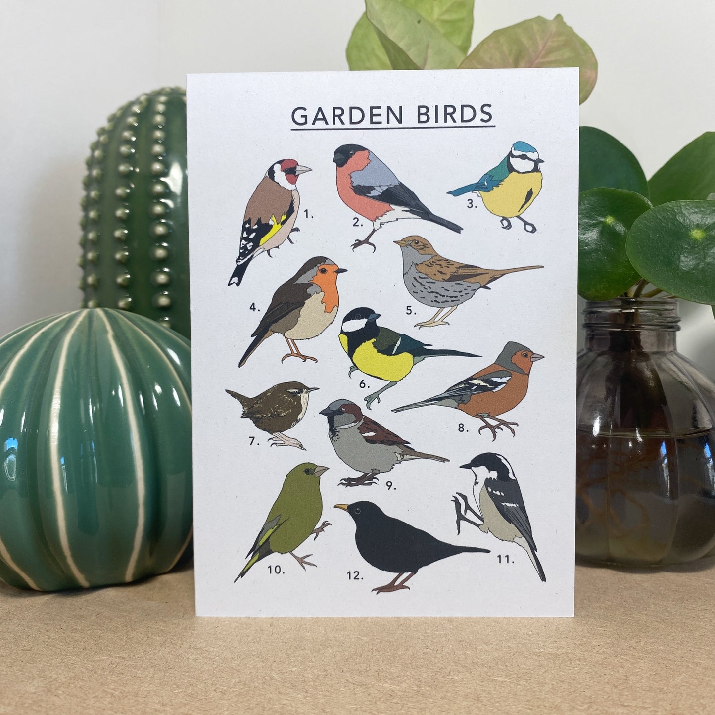 Garden Birds Illustrated collection Card - katebroughton