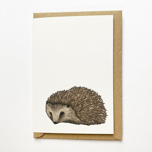 Hedgehog Illustrated Card