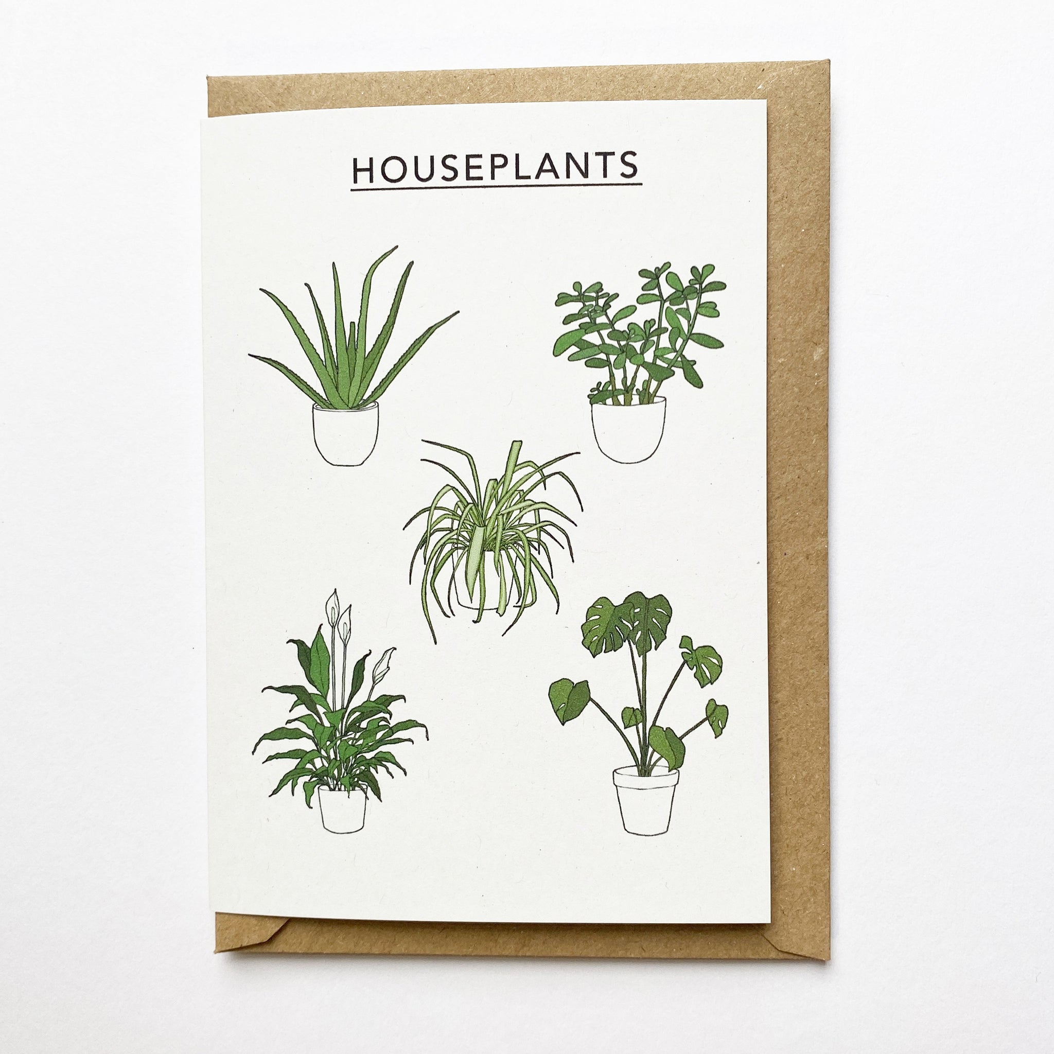 Houseplant Collection Card (Copy)