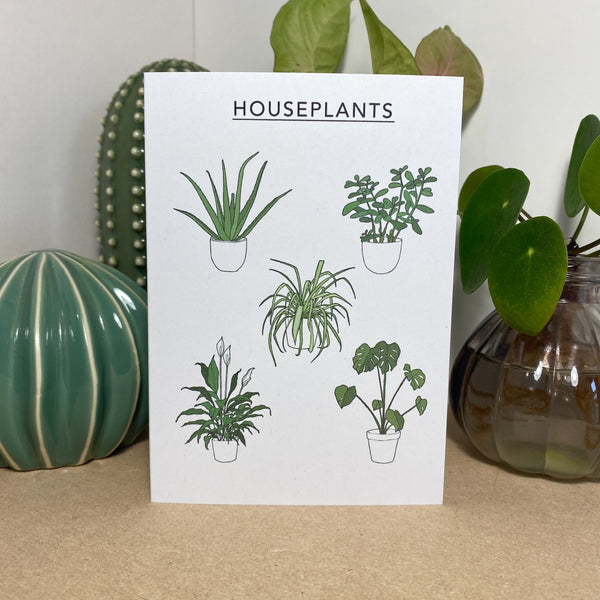 Houseplant Collection Card (Copy)