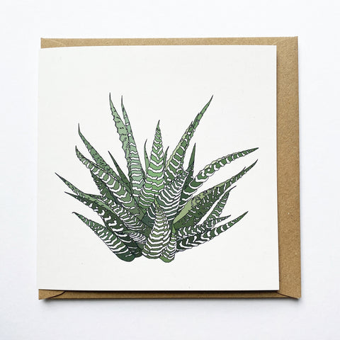 Howarthia houseplant card