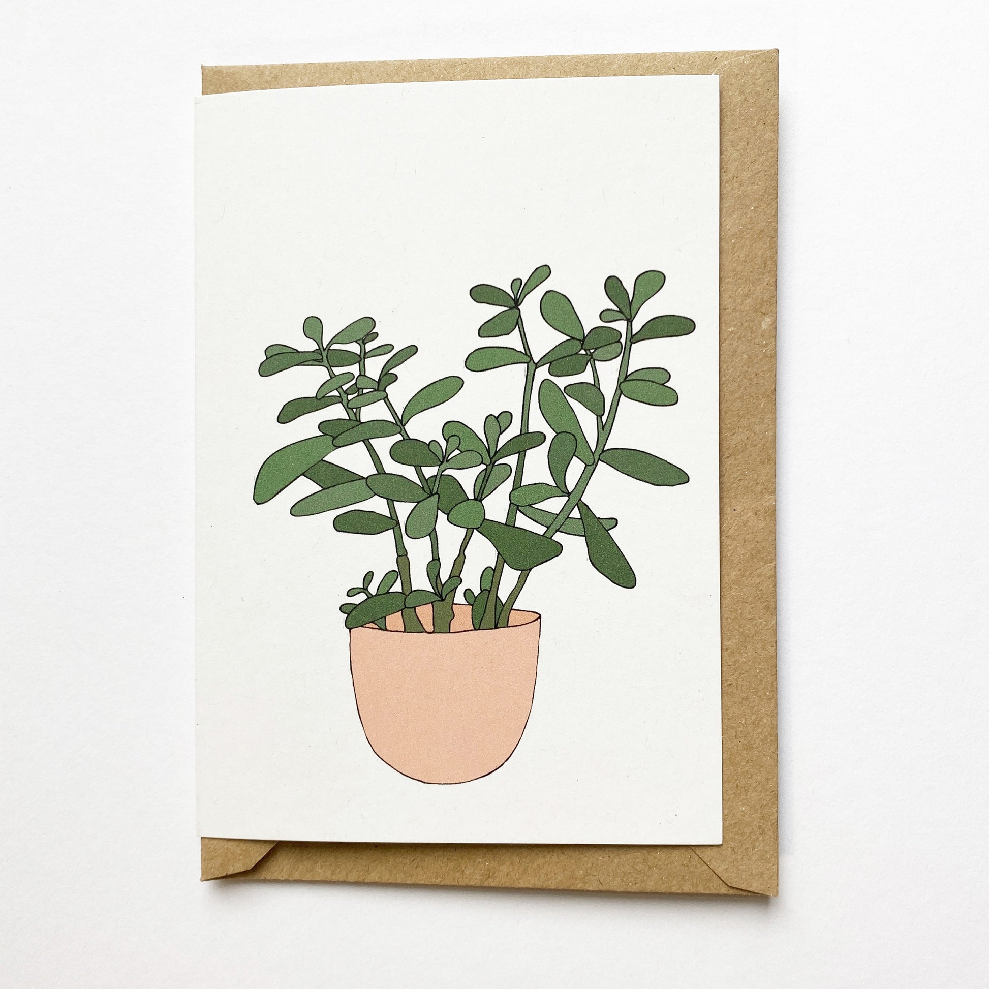 Jade Houseplant Card - katebroughton