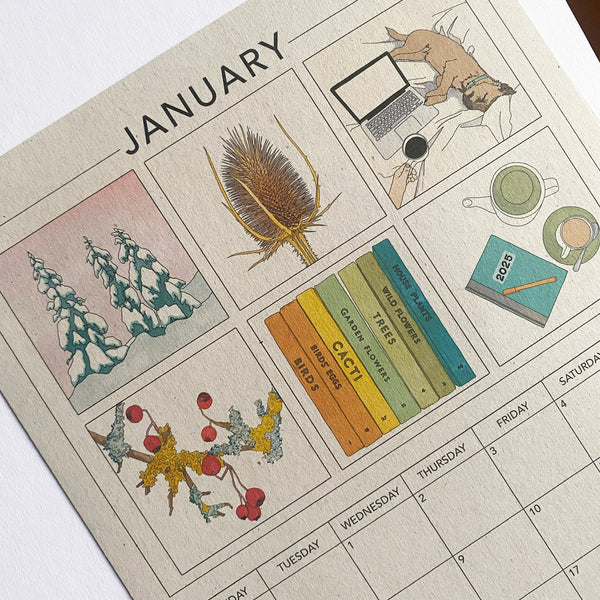 2025 Illustrated Wall Calendar A4