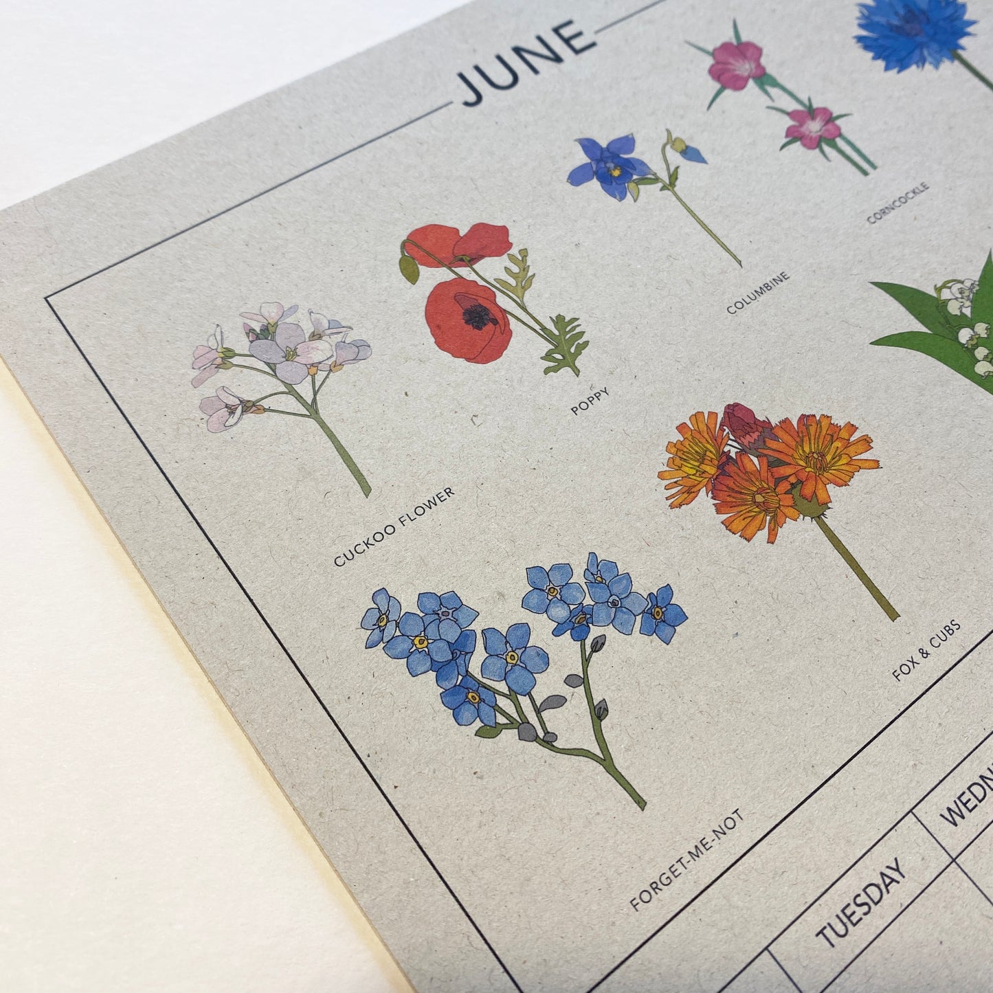 2024 Illustrated Wall Calendar