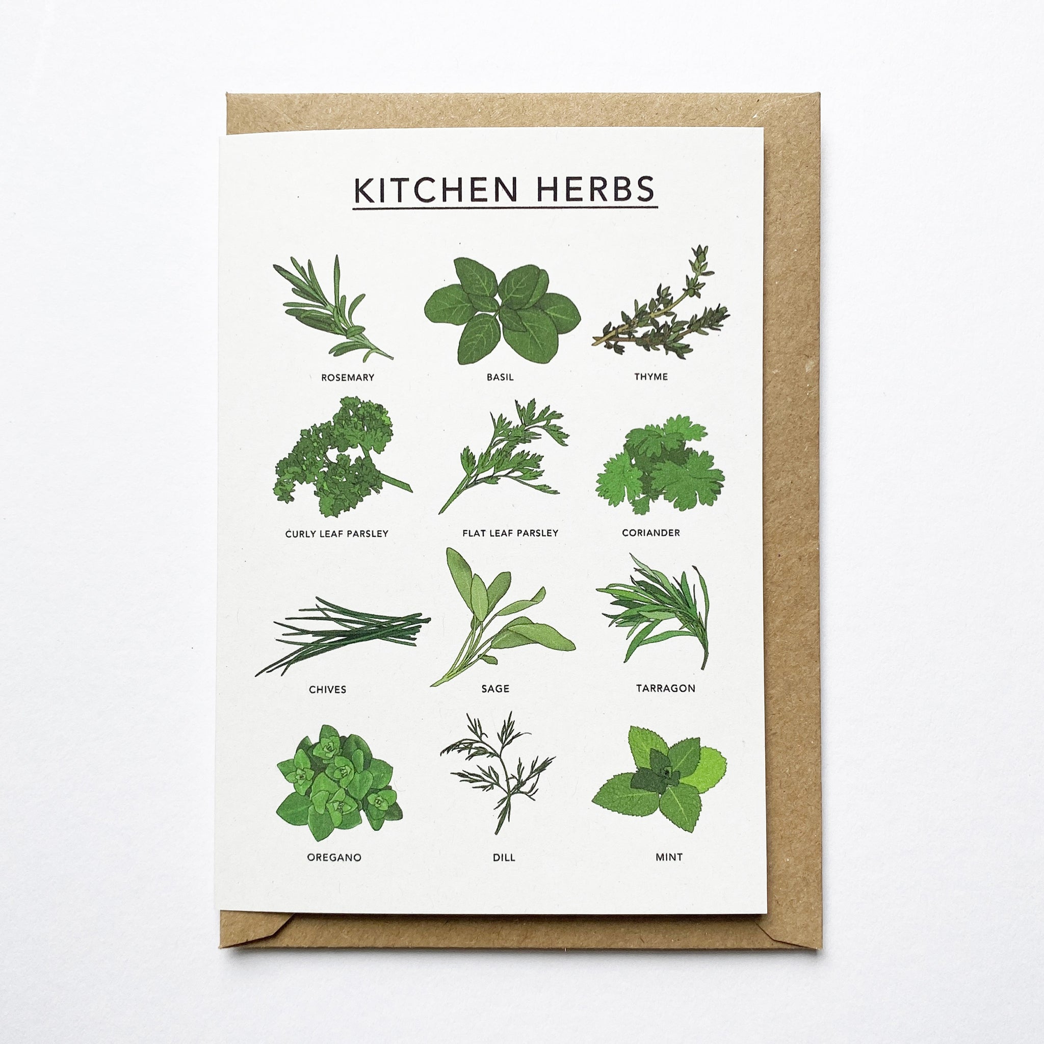 Kitchen Herbs Illustrated Card