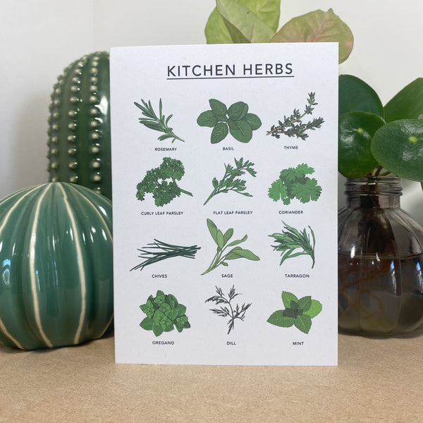 Kitchen Herbs Illustrated Card