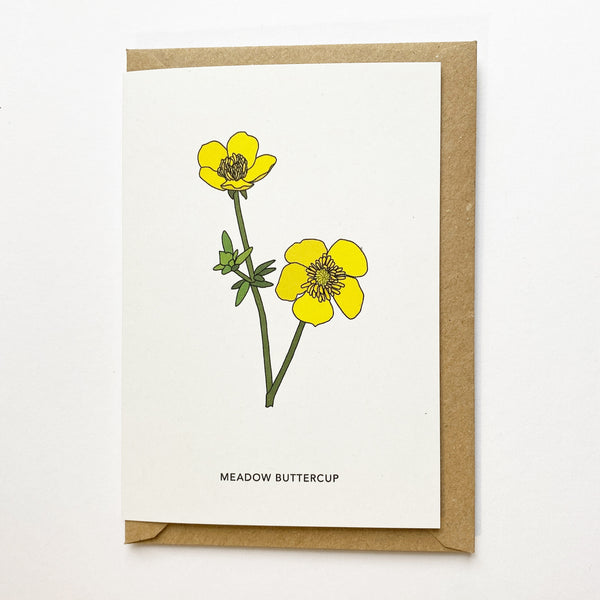 Wildflower Cards