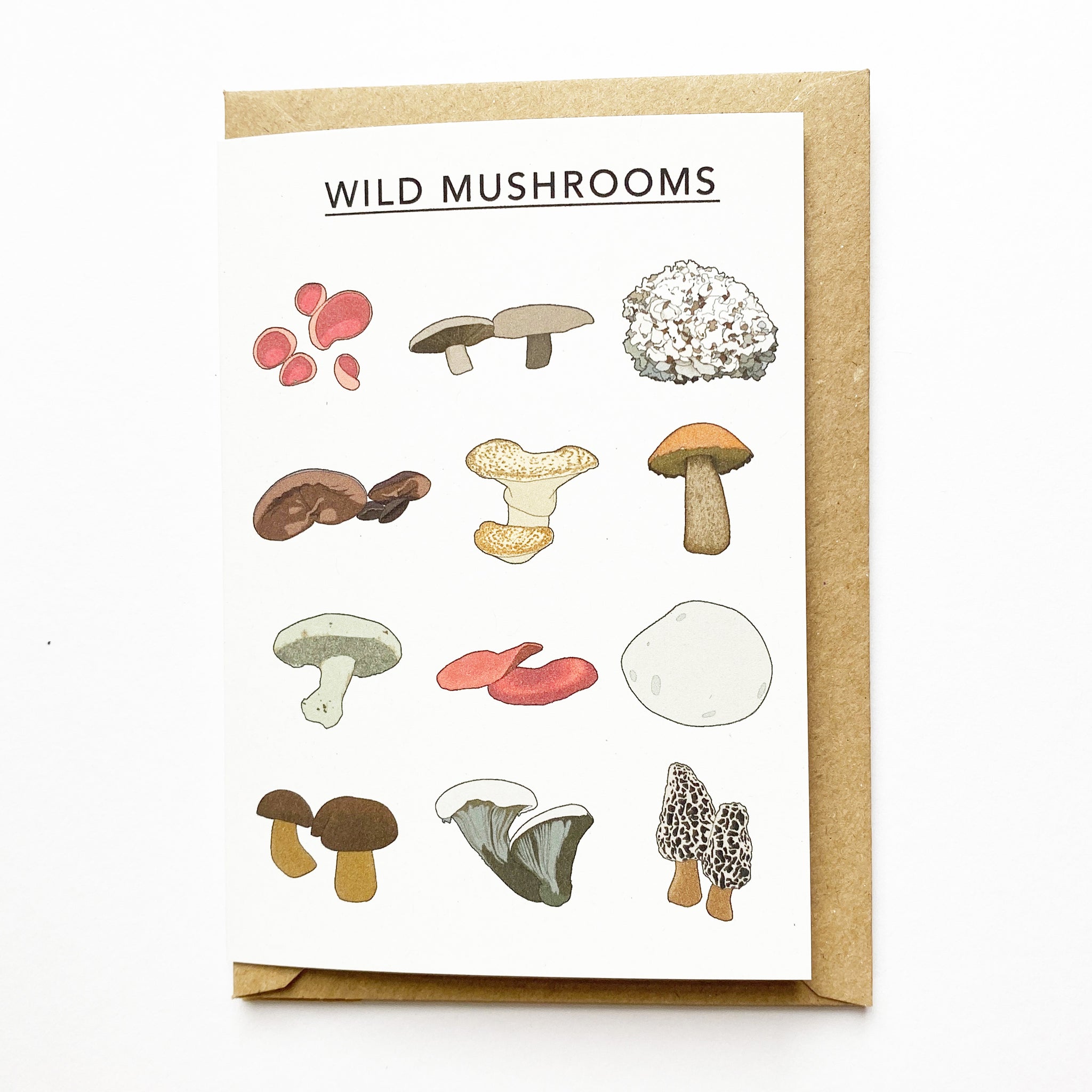 Wild Mushrooms Illustrated Card