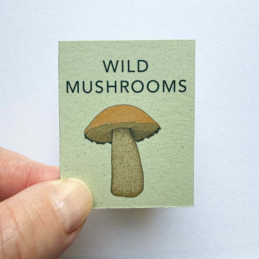 Tiny Book of Wild Mushrooms - mini handmade book by katebroughton