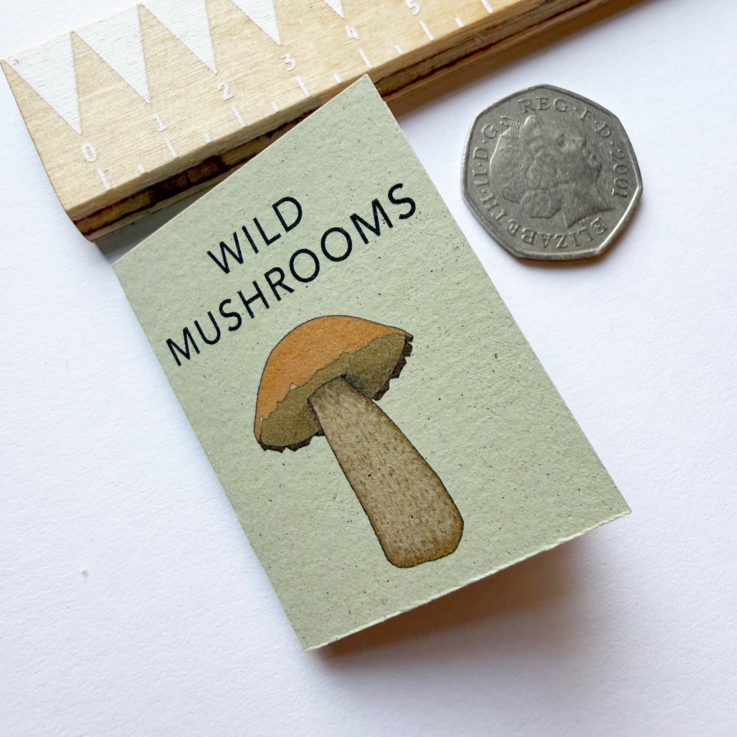 Tiny Book of Wild Mushrooms mini nature book gift idea