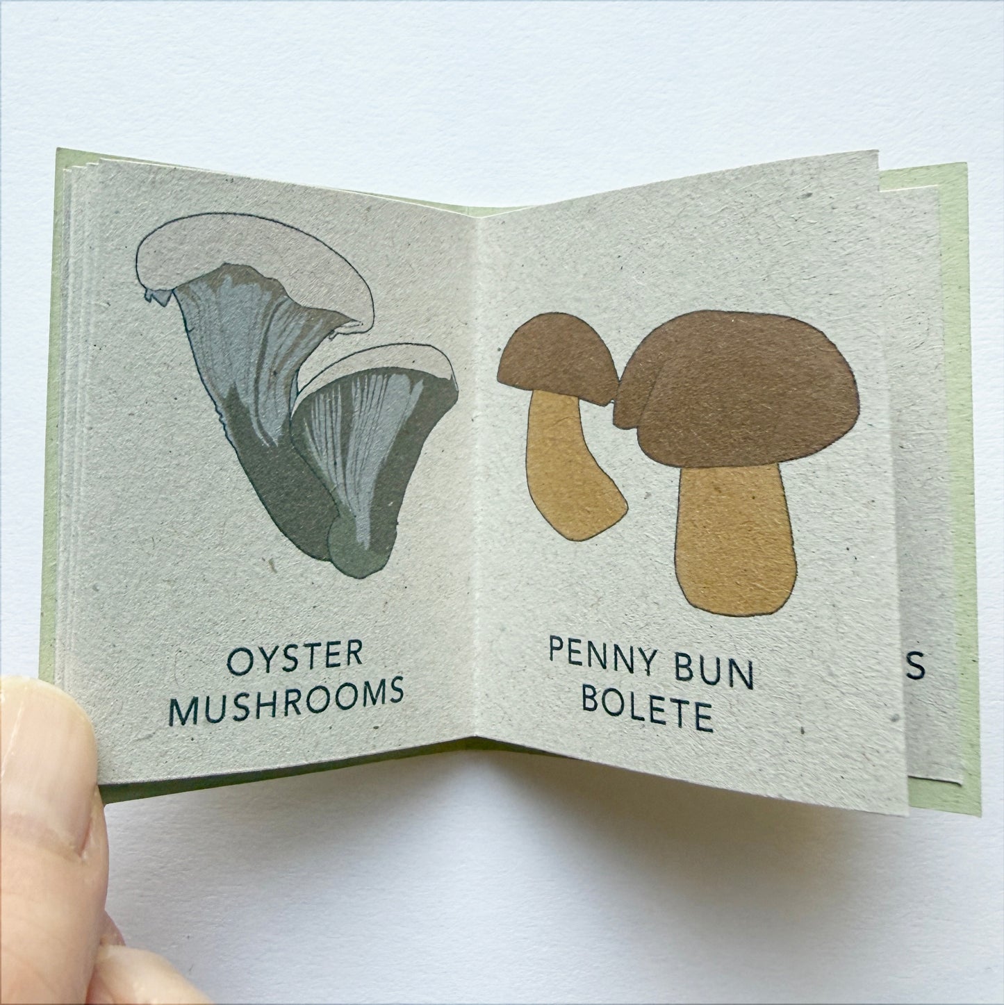 handmade Tiny Book of Wild Mushrooms - art gift