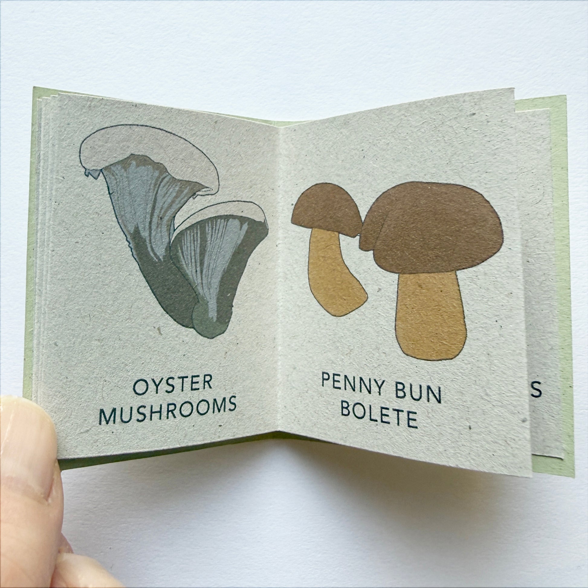 handmade Tiny Book of Wild Mushrooms - art gift