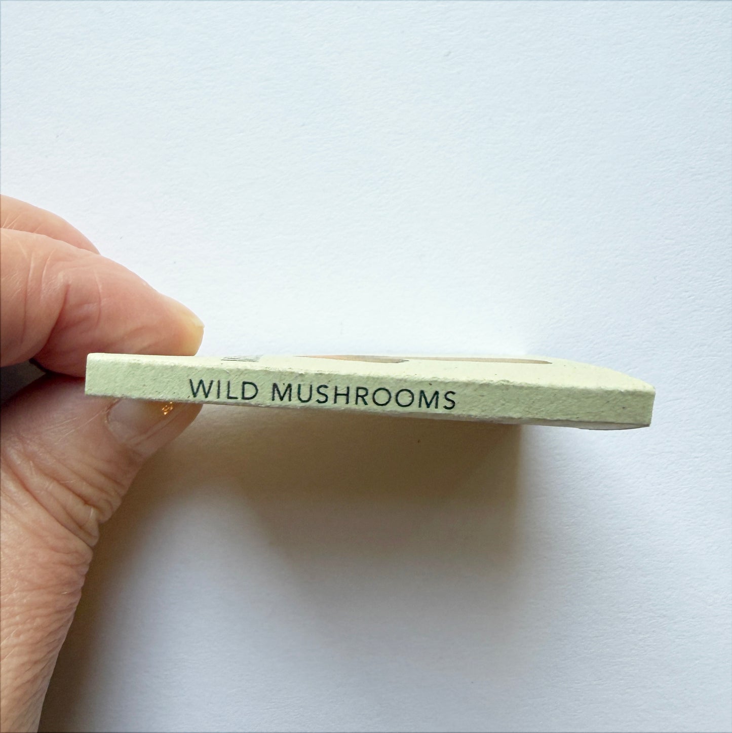 Tiny Book of Wild Mushrooms - photo of spine of mini book