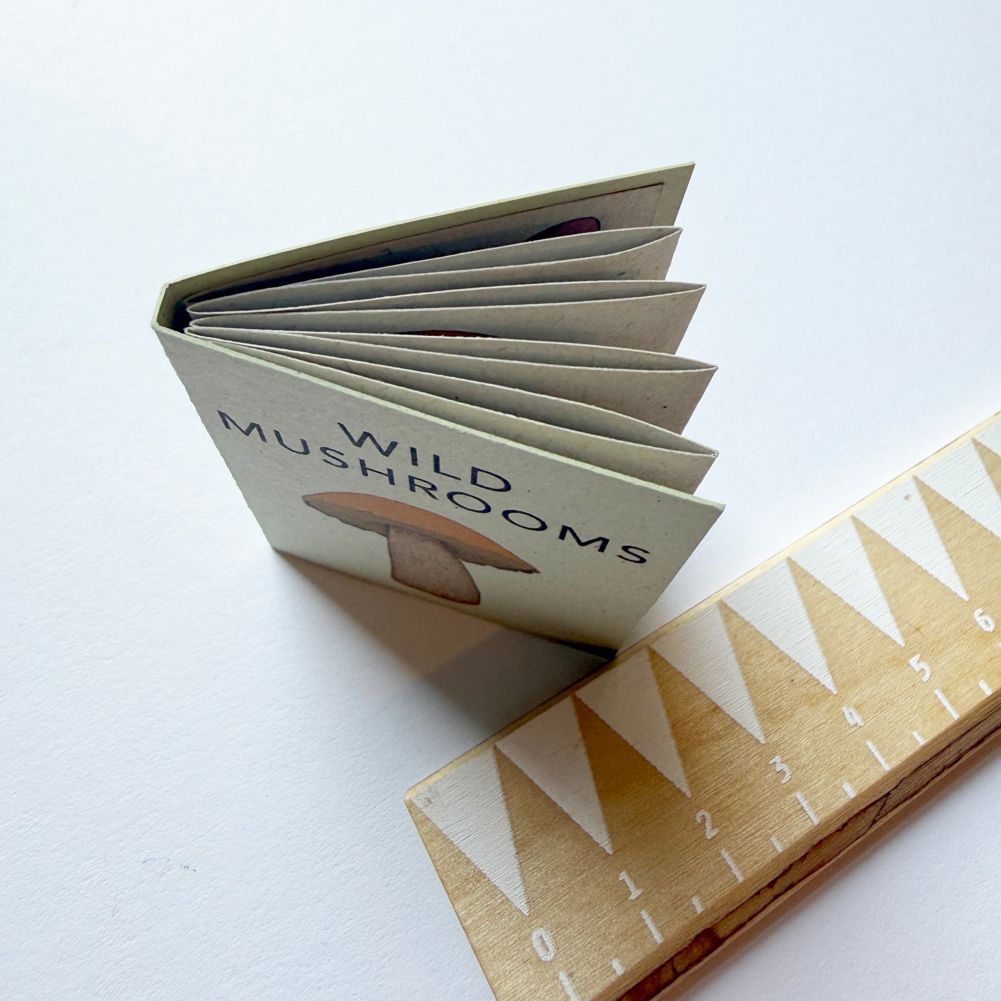 Tiny Book of Wild Mushrooms - pictured next to a ruler