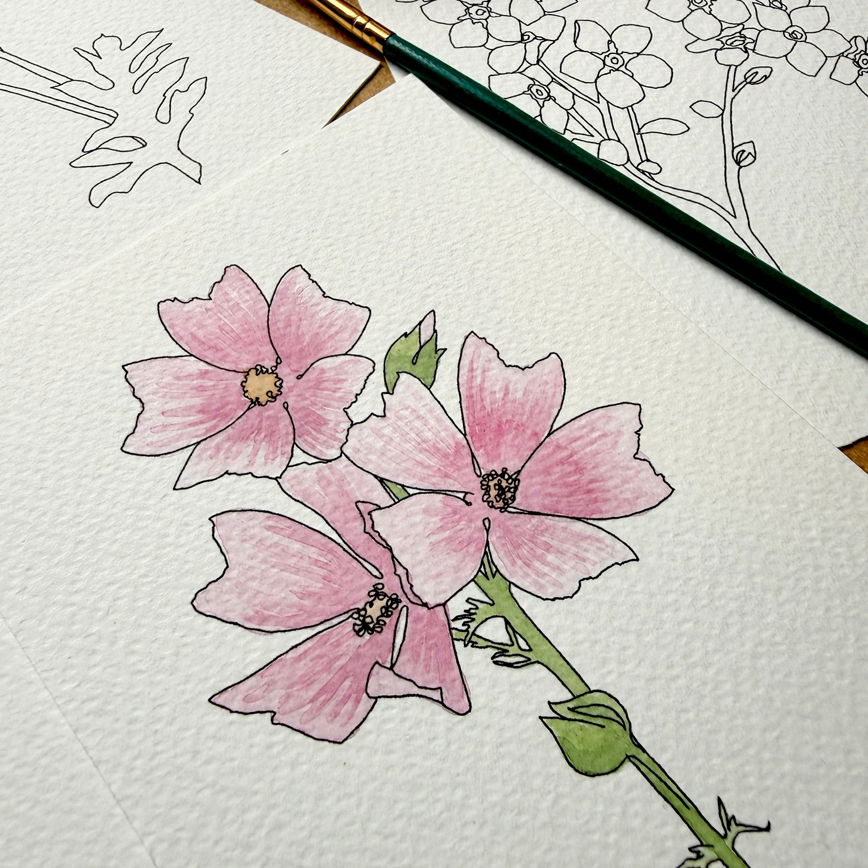 Wildflower Paint Your Own Watercolour set - katebroughton