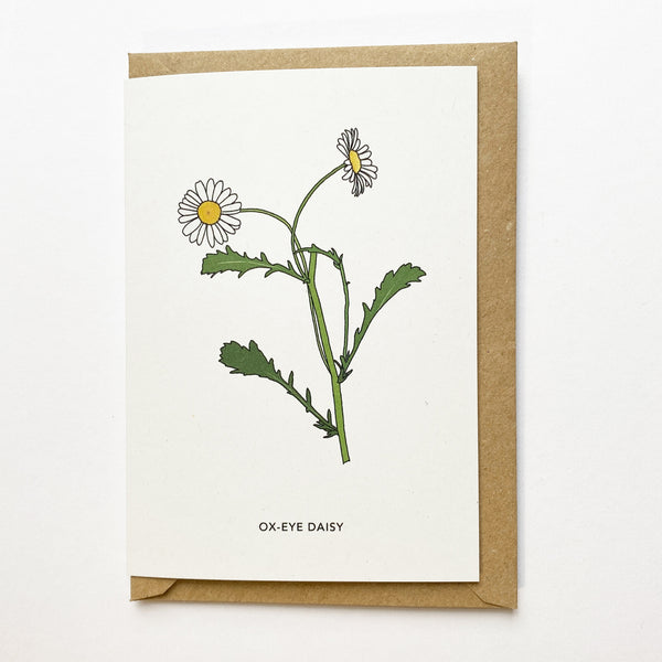 Wildflower Cards