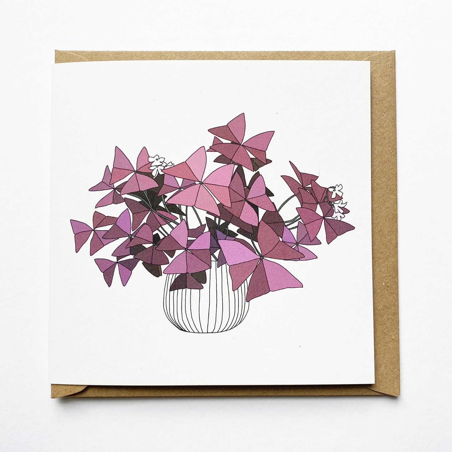 Oxalis Triangularis Houseplant Card - katebroughton