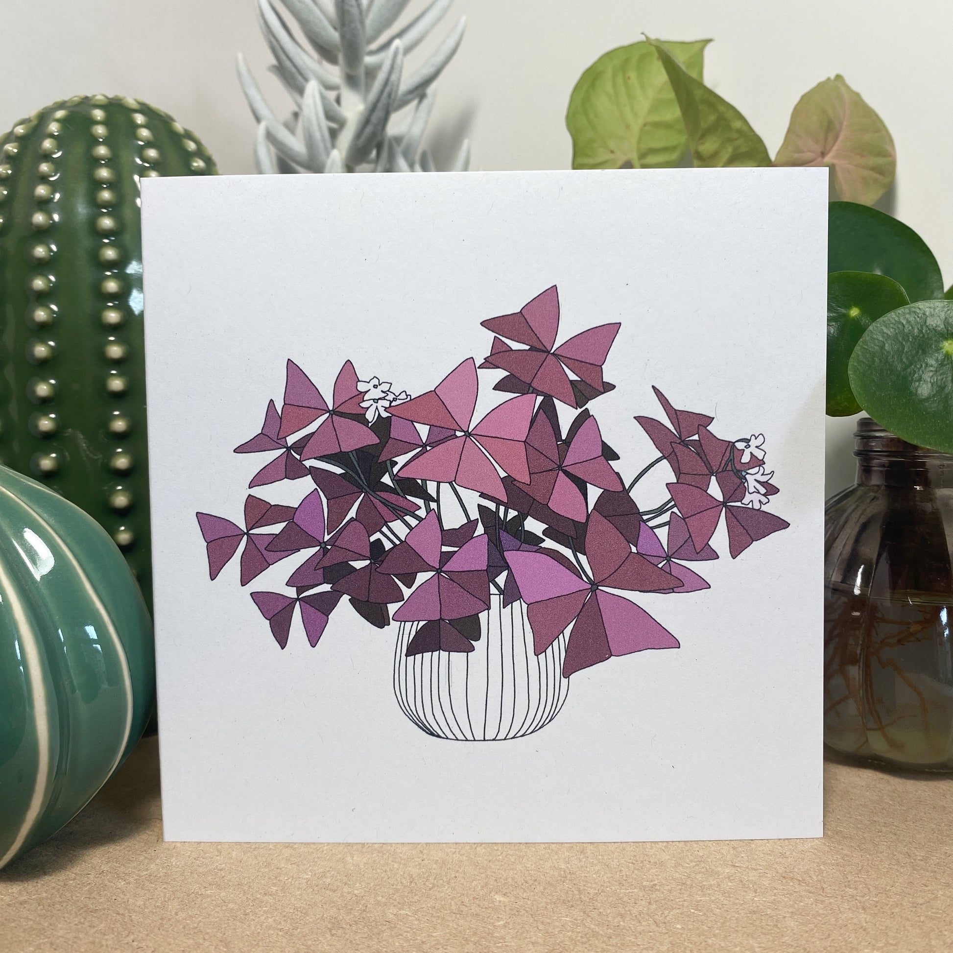 Oxalis Triangularis Houseplant Card - katebroughton