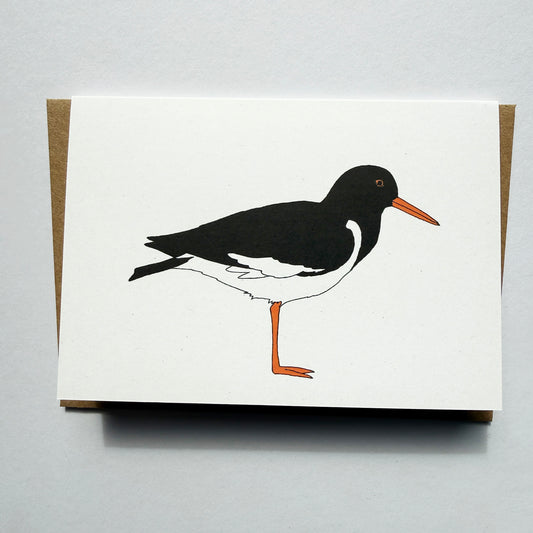 Oystercatcher Illustrated Card - katebroughton