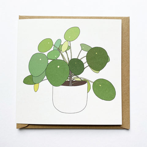 Pilea Peperomioides card