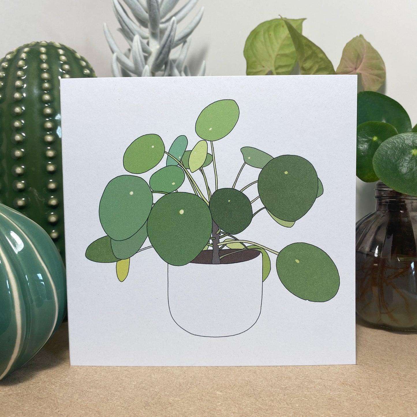 Pilea Peperomioides card