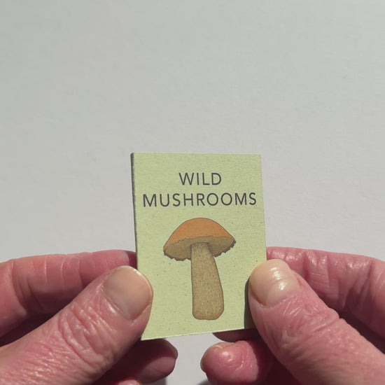 video showing mini book of mushroom illustrations