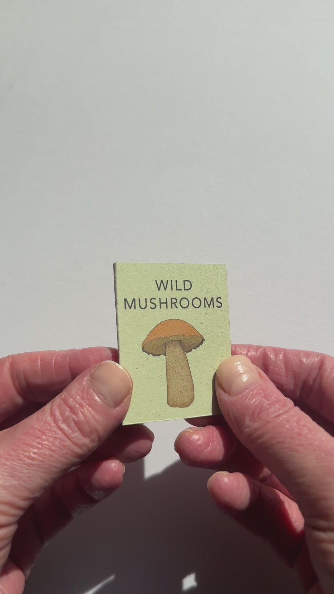 video showing mini book of mushroom illustrations
