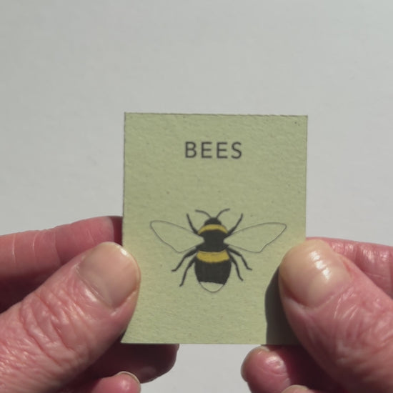 video showing mini book of bees. Handmade in the UK by Kate Broughton