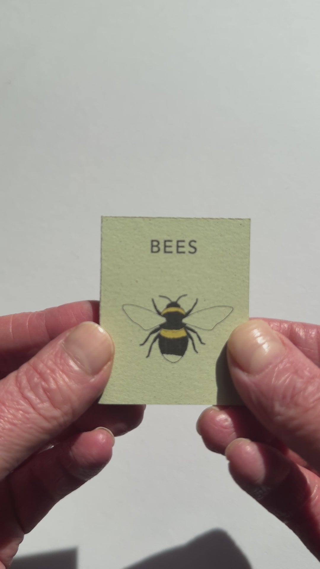 video showing mini book of bees. Handmade in the UK by Kate Broughton
