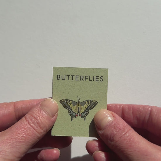 video showing tiny handmade book of butterflies by Kate Broughton. recycled paper eco friendly gift