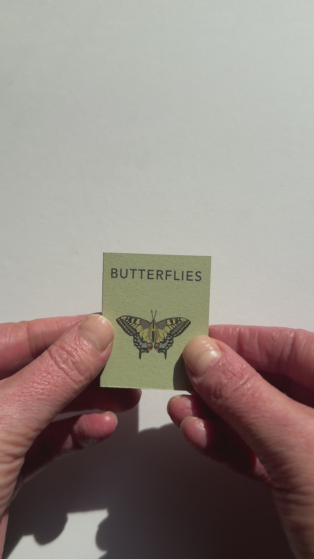 video showing tiny handmade book of butterflies by Kate Broughton. recycled paper eco friendly gift