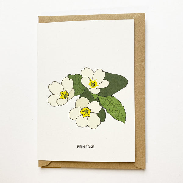 Wildflower Cards